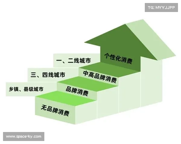 下沉市场内容需求增长驱动分发网络向多层次服务体系演进